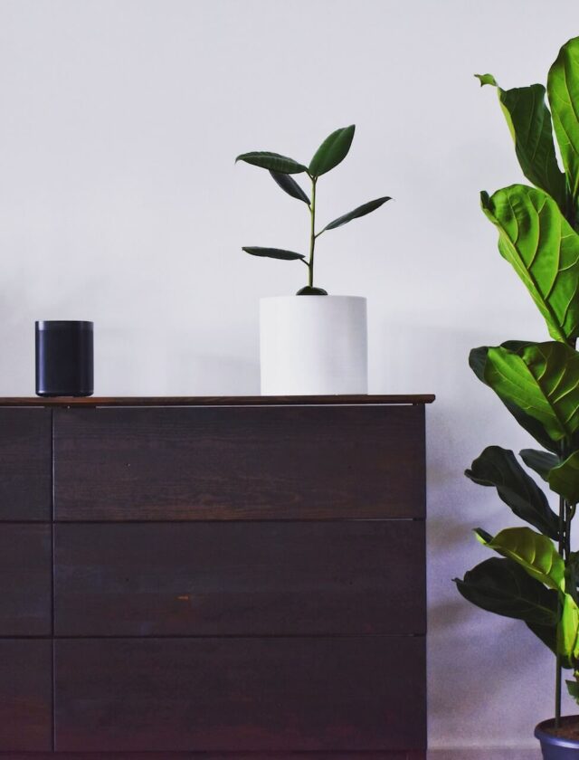 Commodes et armoires en bois massif : durabilité et style intemporel